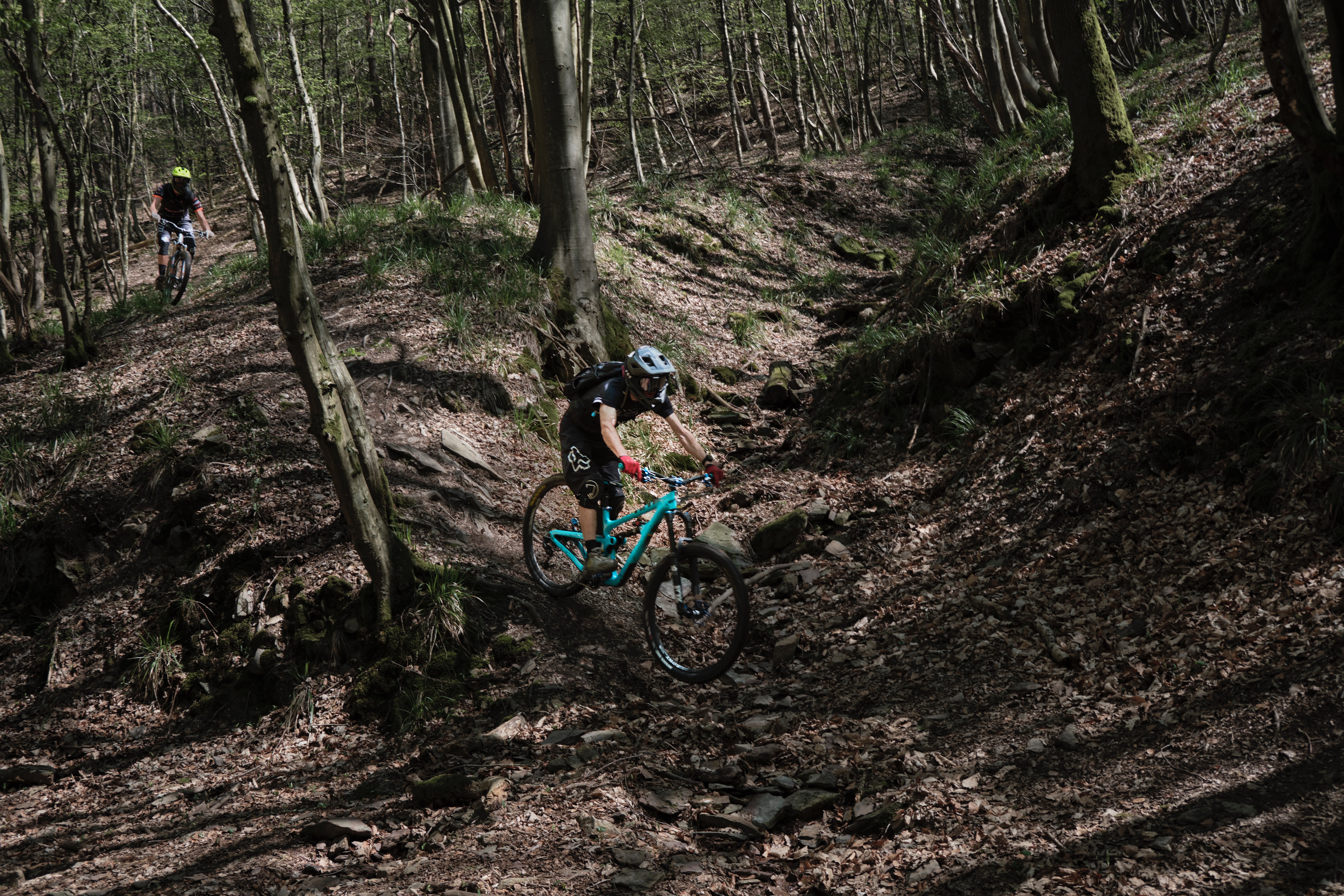 mountainbike in forest